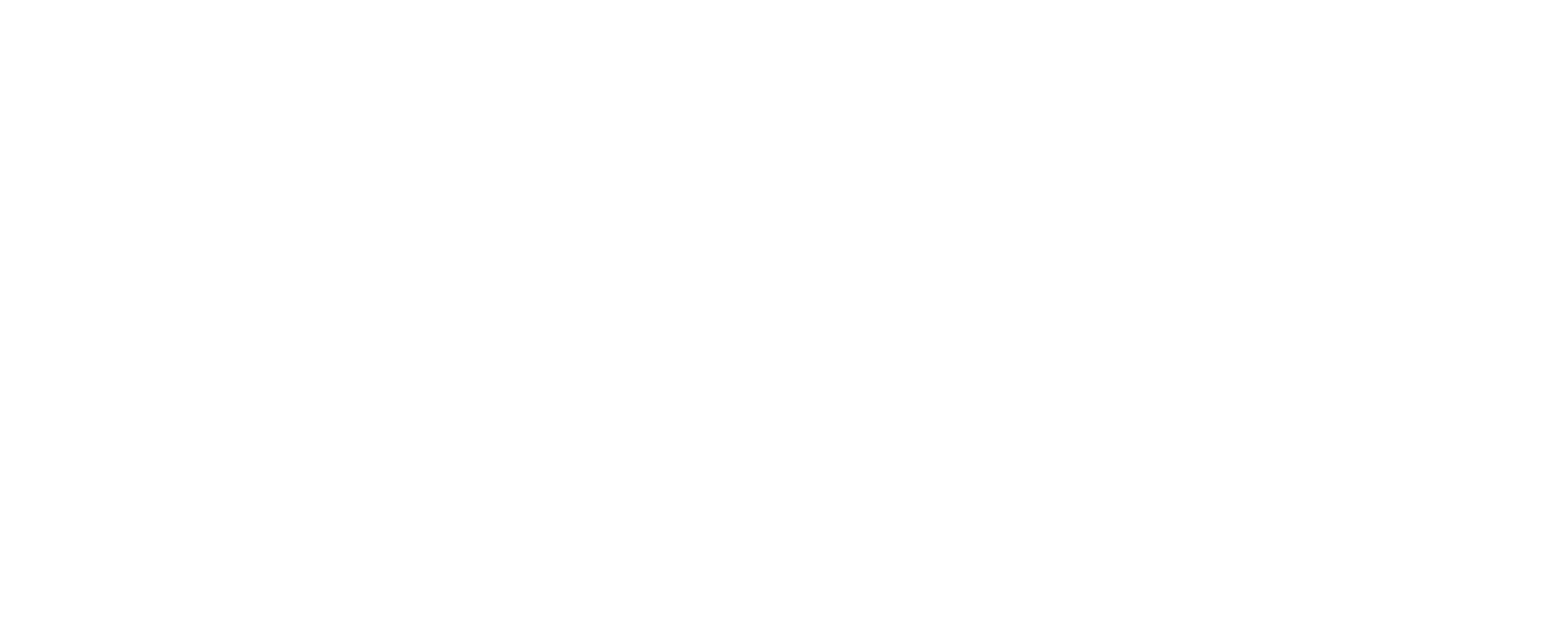 The Commonwealth Youth Programme